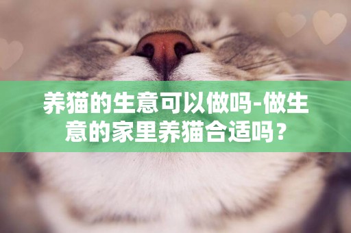 養貓的生意可以做嗎-做生意的家里養貓合適嗎？