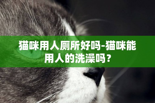 貓咪用人廁所好嗎-貓咪能用人的洗澡嗎？
