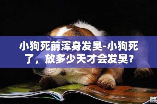 小狗死前渾身發臭-小狗死了，放多少天才會發臭？
