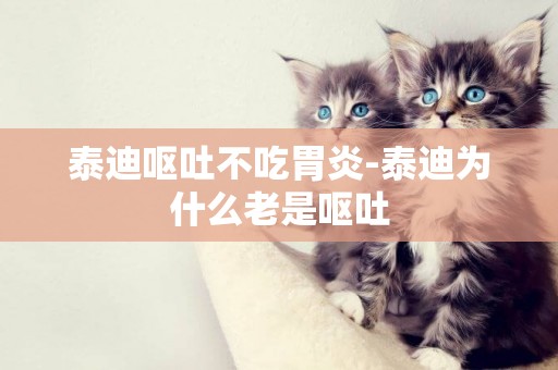 泰迪嘔吐不吃胃炎-泰迪為什么老是嘔吐