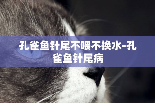 孔雀魚針尾不喂不換水-孔雀魚針尾病