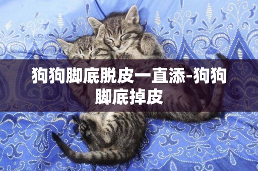 狗狗腳底脫皮一直添-狗狗腳底掉皮