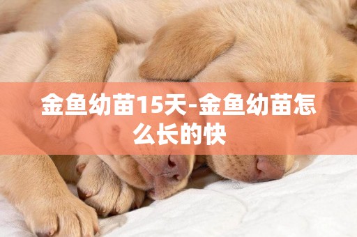 金魚幼苗15天-金魚幼苗怎么長的快