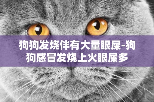 狗狗發燒伴有大量眼屎-狗狗感冒發燒上火眼屎多