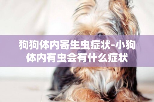 狗狗體內寄生蟲癥狀-小狗體內有蟲會有什么癥狀