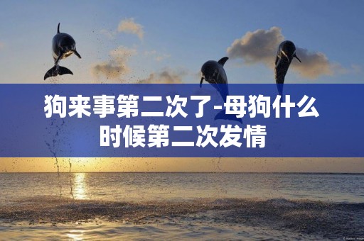 狗來事第二次了-母狗什么時候第二次發情