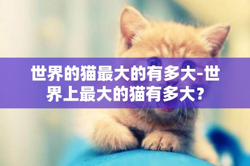 世界的貓最大的有多大-世界上最大的貓有多大？