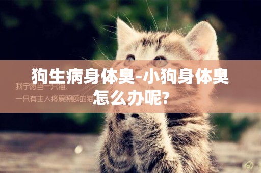 狗生病身體臭-小狗身體臭怎么辦呢?