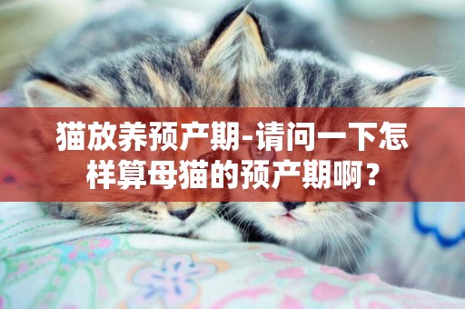 貓放養預產期-請問一下怎樣算母貓的預產期啊？