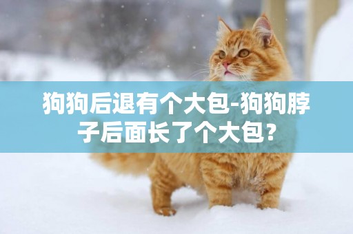 狗狗后退有個大包-狗狗脖子后面長了個大包？