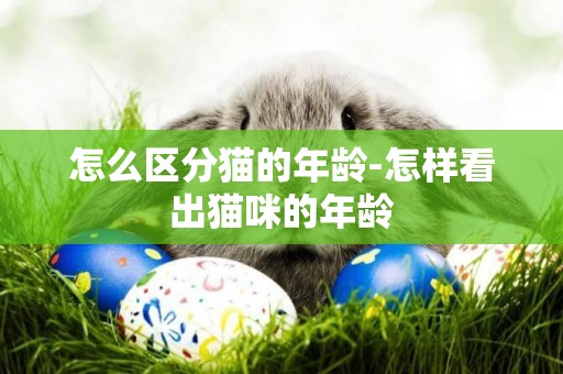 怎么區分貓的年齡-怎樣看出貓咪的年齡