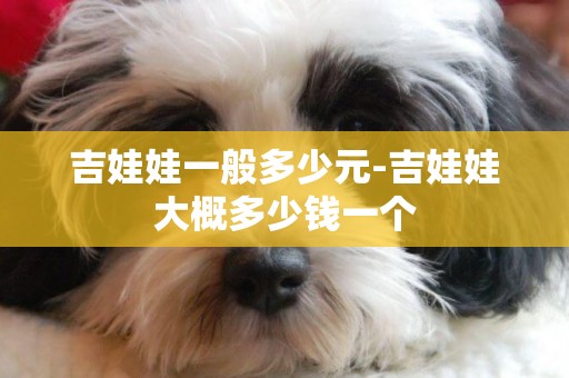吉娃娃一般多少元-吉娃娃大概多少錢一個