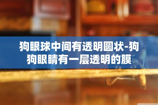 狗眼球中間有透明圓狀-狗狗眼睛有一層透明的膜