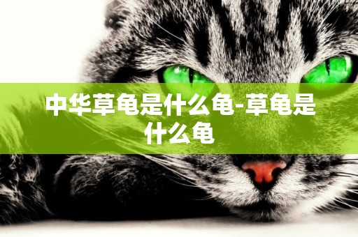 中華草龜是什么龜-草龜是什么龜