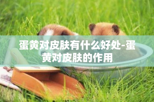 蛋黃對皮膚有什么好處-蛋黃對皮膚的作用