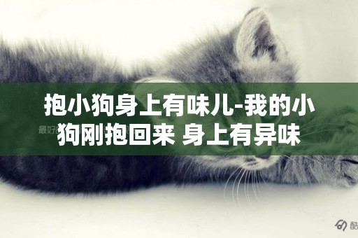 抱小狗身上有味兒-我的小狗剛抱回來 身上有異味