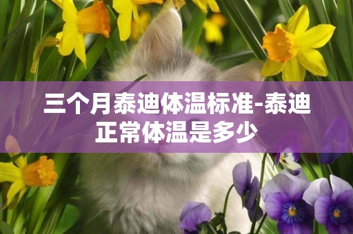 三個月泰迪體溫標準-泰迪正常體溫是多少
