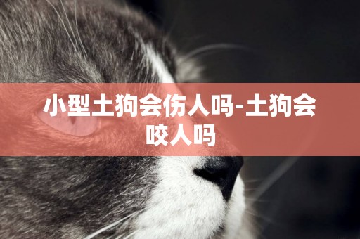小型土狗會傷人嗎-土狗會咬人嗎