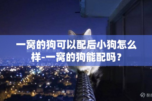 一窩的狗可以配后小狗怎么樣-一窩的狗能配嗎？