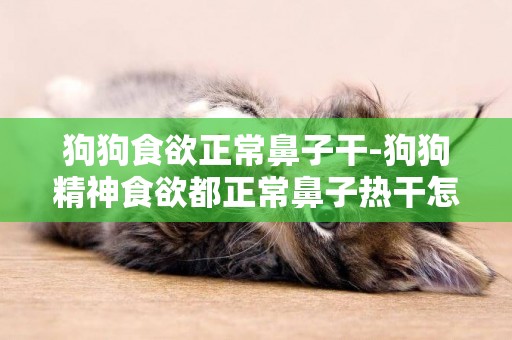 狗狗食欲正常鼻子干-狗狗精神食欲都正常鼻子熱干怎么回事