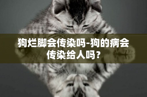 狗爛腳會傳染嗎-狗的病會傳染給人嗎？