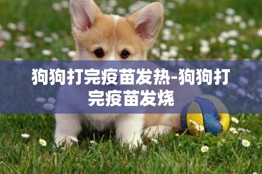 狗狗打完疫苗發熱-狗狗打完疫苗發燒