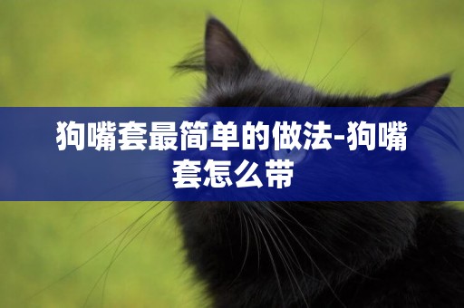 狗嘴套最簡單的做法-狗嘴套怎么帶