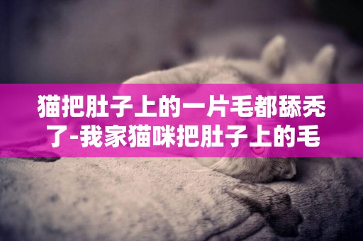貓把肚子上的一片毛都舔禿了-我家貓咪把肚子上的毛都舔沒了
