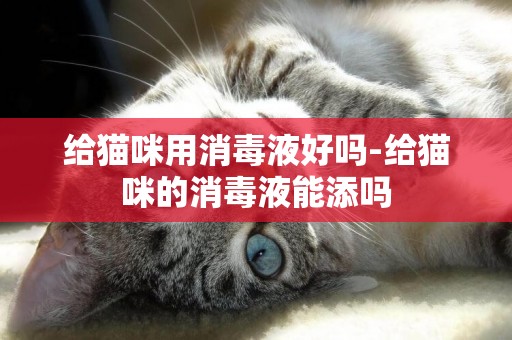 給貓咪用消毒液好嗎-給貓咪的消毒液能添嗎