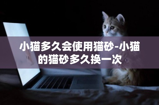 小貓多久會使用貓砂-小貓的貓砂多久換一次