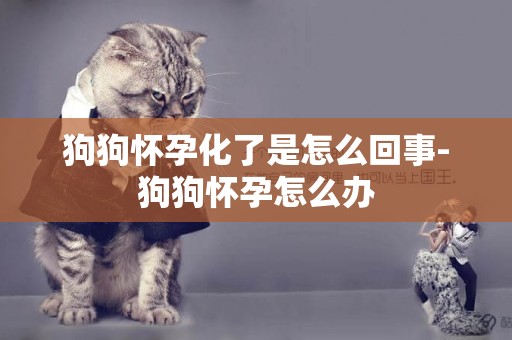 狗狗懷孕化了是怎么回事-狗狗懷孕怎么辦