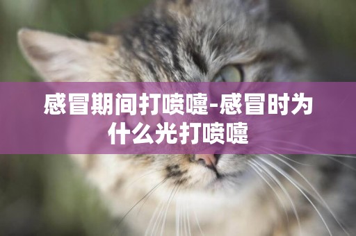 感冒期間打噴嚏-感冒時為什么光打噴嚏