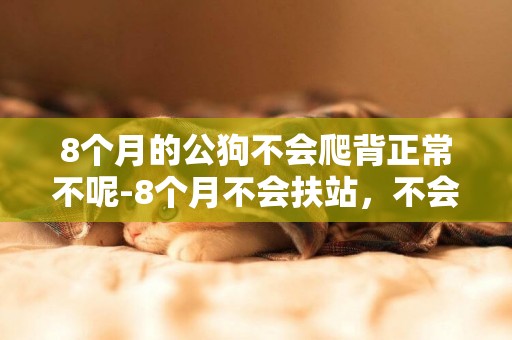 8個月的公狗不會爬背正常不呢-8個月不會扶站，不會爬，正常嗎