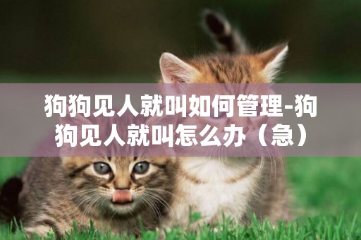 狗狗見人就叫如何管理-狗狗見人就叫怎么辦（急）