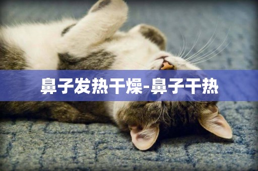 鼻子發熱干燥-鼻子干熱