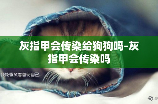 灰指甲會傳染給狗狗嗎-灰指甲會傳染嗎