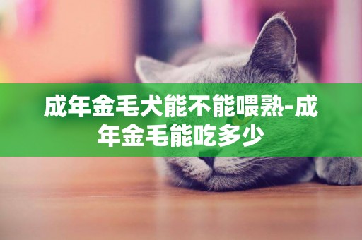 成年金毛犬能不能喂熟-成年金毛能吃多少