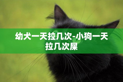 幼犬一天拉幾次-小狗一天拉幾次屎