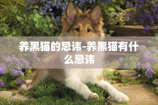 養黑貓的忌諱-養黑貓有什么忌諱