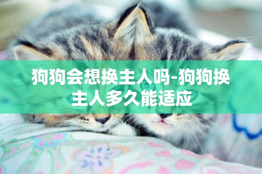 狗狗會想換主人嗎-狗狗換主人多久能適應
