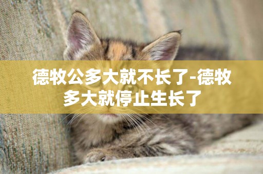德牧公多大就不長了-德牧多大就停止生長了