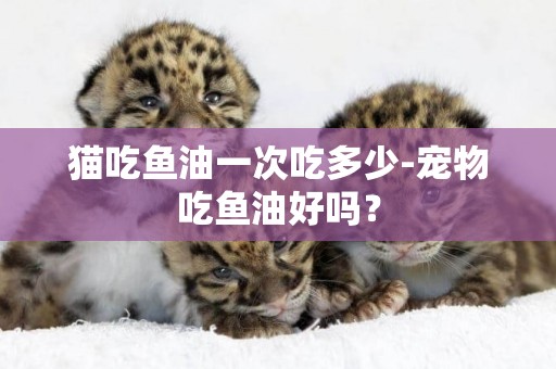 貓吃魚油一次吃多少-寵物吃魚油好嗎？
