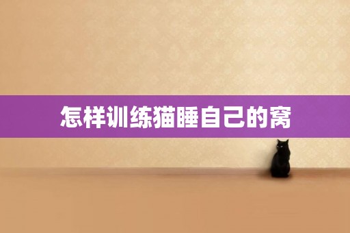 怎樣訓練貓睡自己的窩