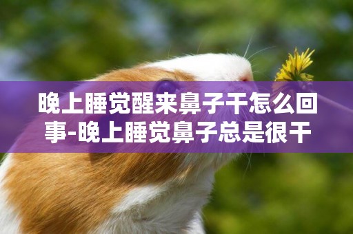 晚上睡覺醒來鼻子干怎么回事-晚上睡覺鼻子總是很干怎么辦