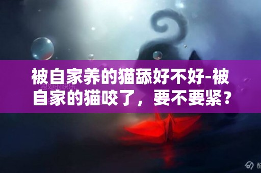 被自家養的貓舔好不好-被自家的貓咬了，要不要緊？