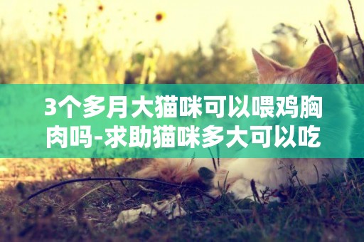 3個多月大貓咪可以喂雞胸肉嗎-求助貓咪多大可以吃肉雞胸肉