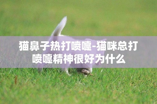 貓鼻子熱打噴嚏-貓咪總打噴嚏精神很好為什么