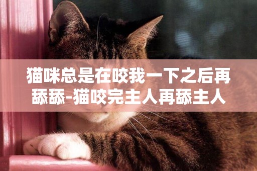 貓咪總是在咬我一下之后再舔舔-貓咬完主人再舔主人是怎么回事