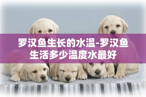 羅漢魚生長的水溫-羅漢魚生活多少溫度水最好