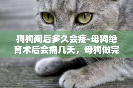 狗狗閹后多久會疼-母狗絕育術后會痛幾天，母狗做完絕育會疼多久